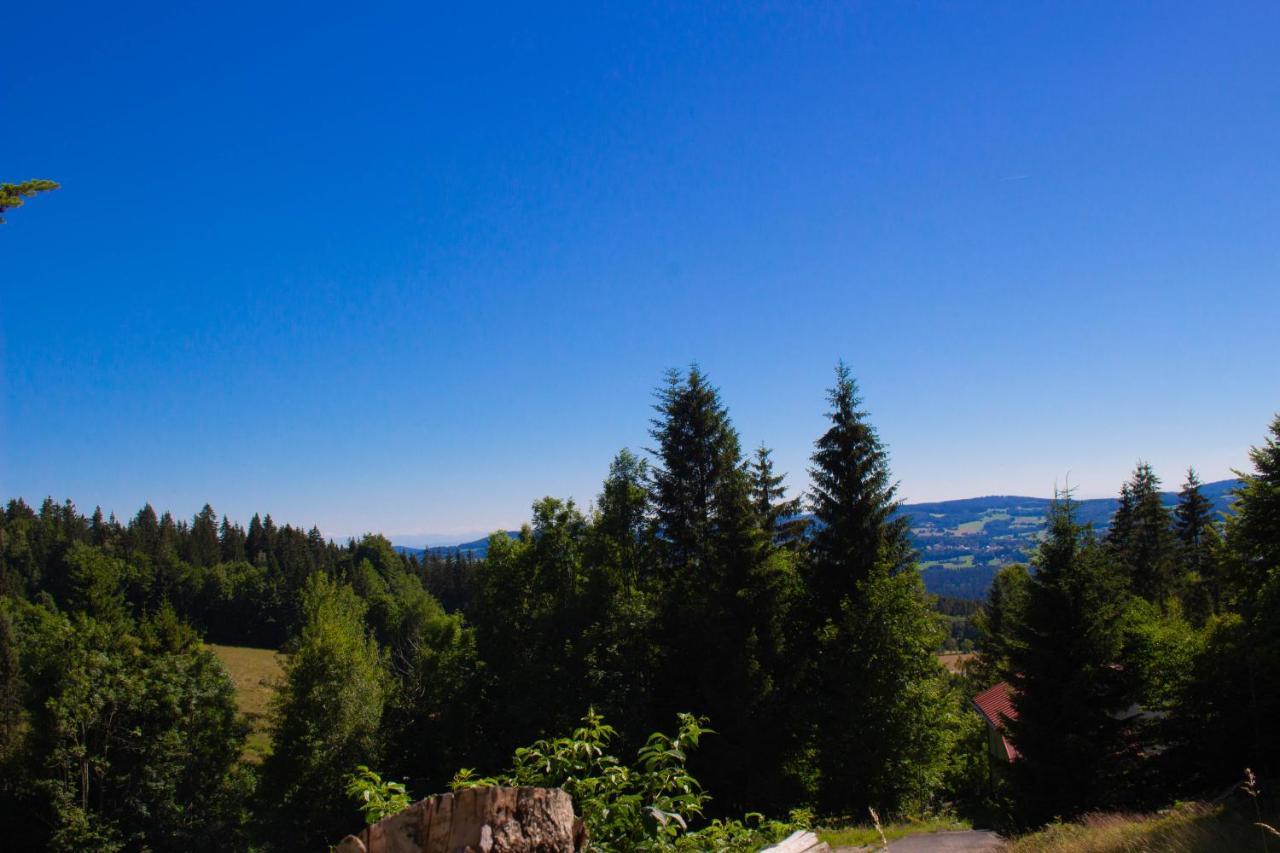Ferienhaus Ploeckenstein Schwarzenberg am Bohmerwald Buitenkant foto
