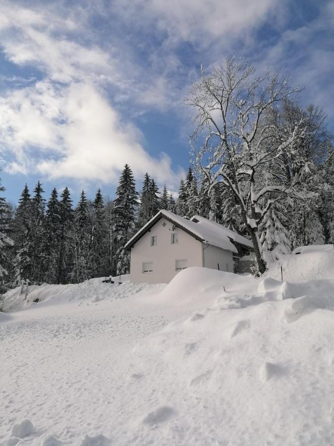 Ferienhaus Ploeckenstein Schwarzenberg am Bohmerwald Buitenkant foto