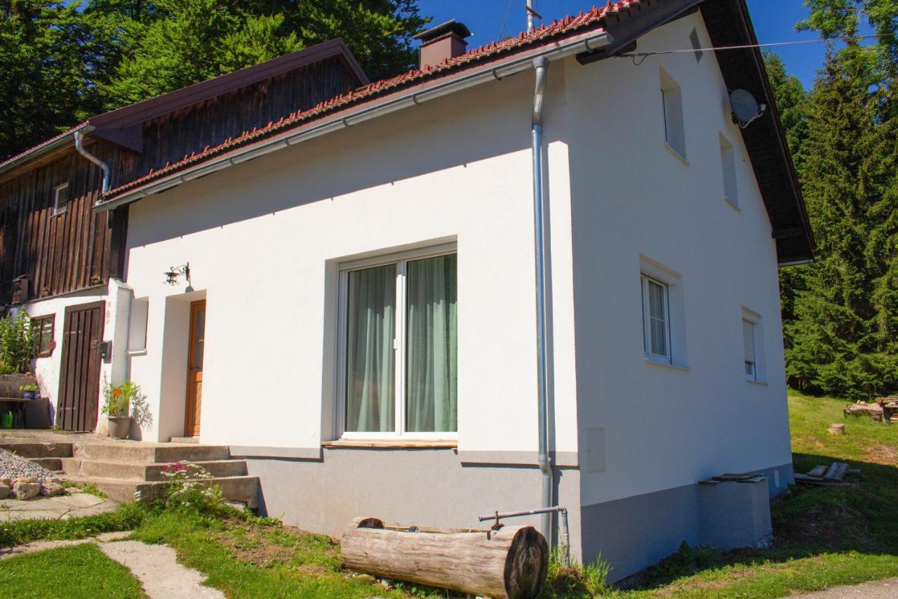 Ferienhaus Ploeckenstein Schwarzenberg am Bohmerwald Buitenkant foto