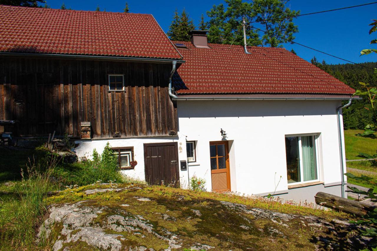 Ferienhaus Ploeckenstein Schwarzenberg am Bohmerwald Buitenkant foto