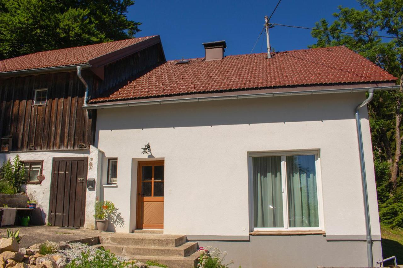 Ferienhaus Ploeckenstein Schwarzenberg am Bohmerwald Buitenkant foto
