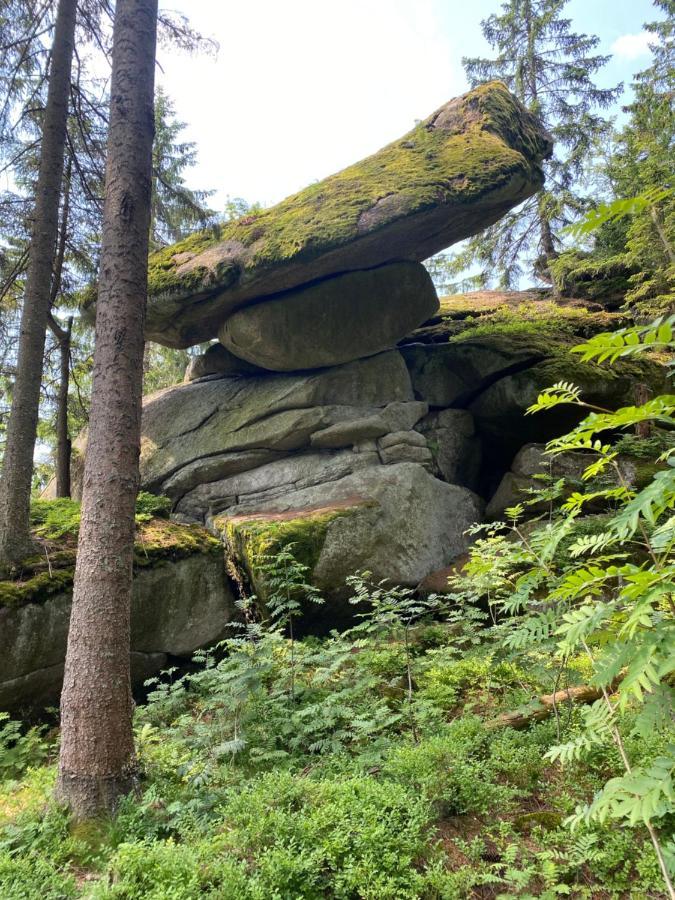 Ferienhaus Ploeckenstein Schwarzenberg am Bohmerwald Buitenkant foto
